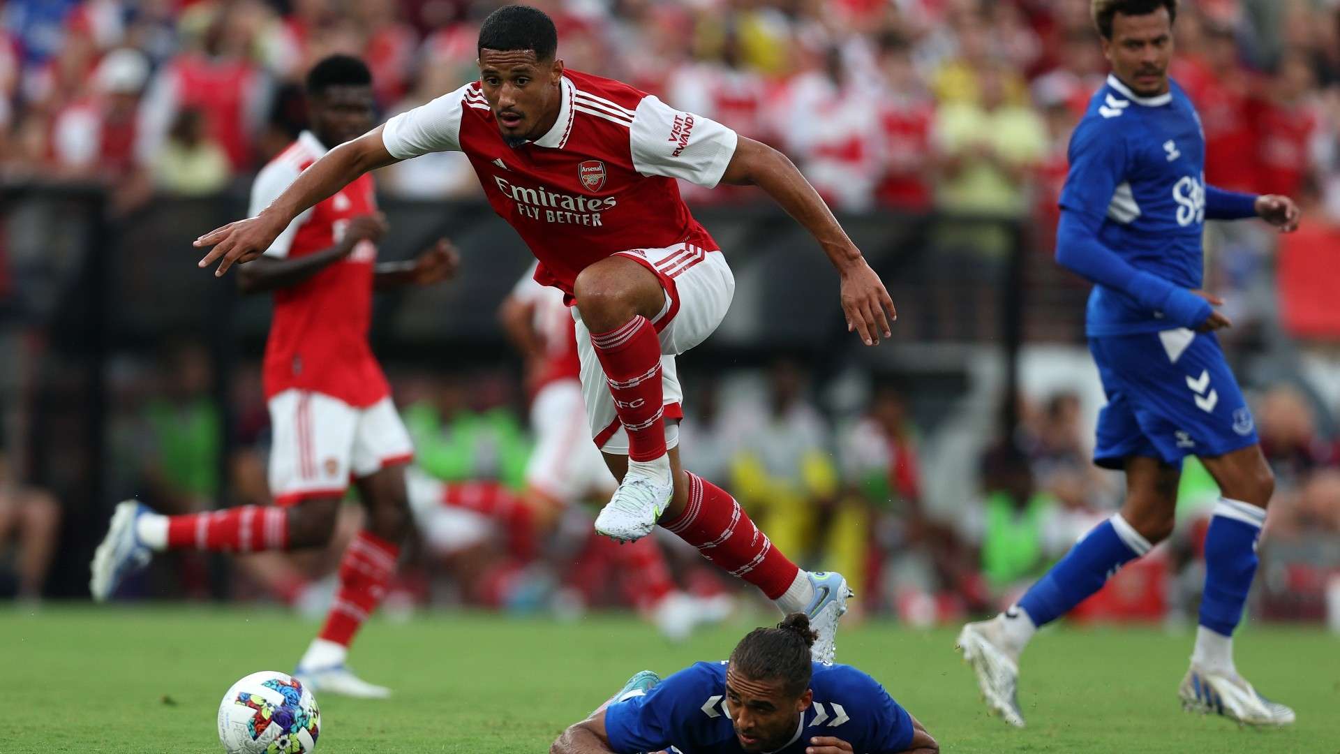 得了赞誉 得了赞誉