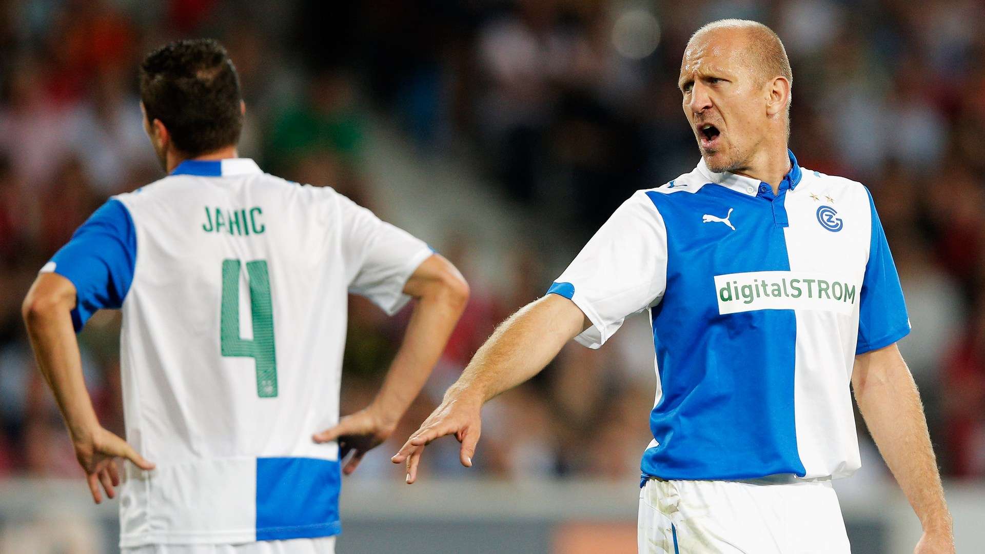 构成了整个 构成了整个