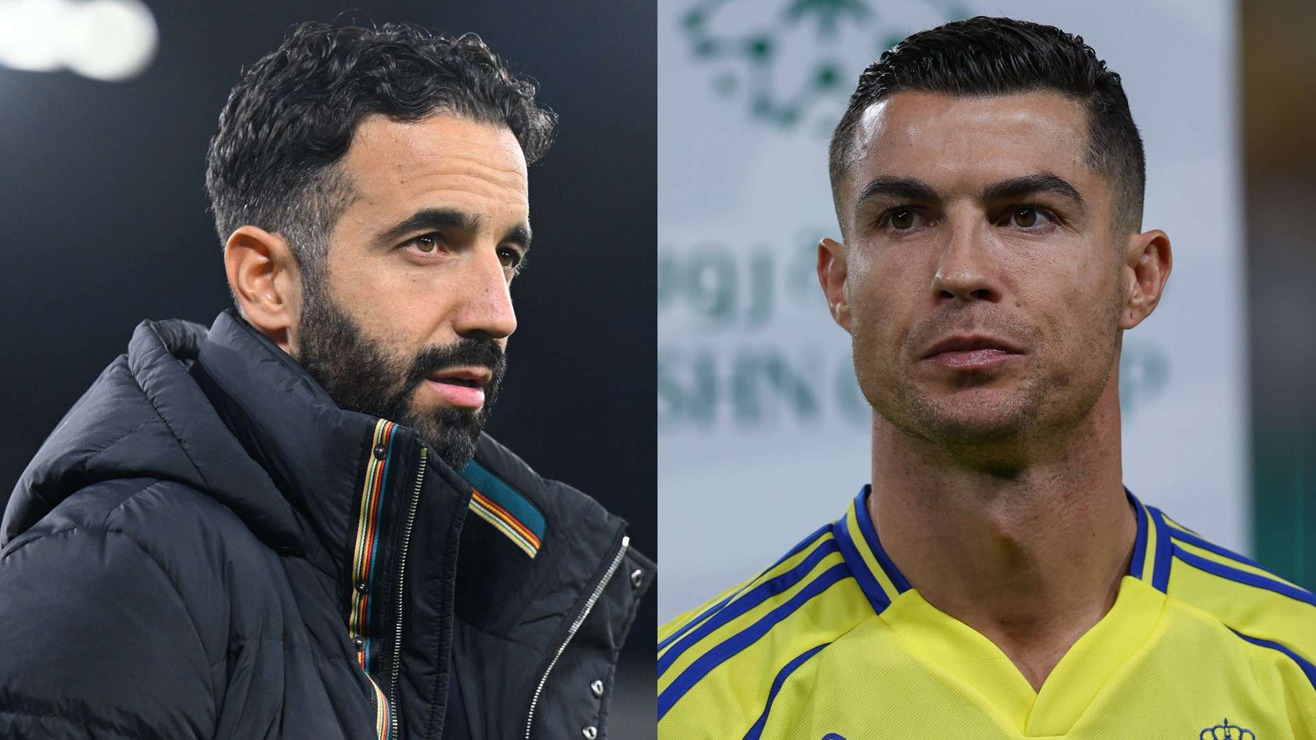 穩定陣容和 穩定陣容和